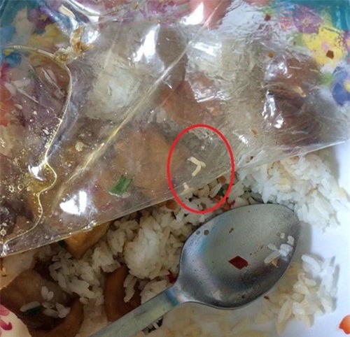Đang ăn, sinh viên hoảng hồn phát hiện giòi lúc nhúc trong suất cơm