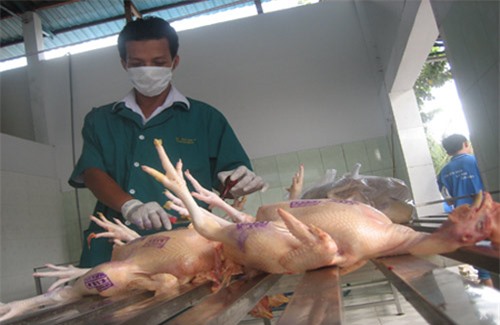 Hà Nội sẽ xóa bỏ các cơ sở giết mổ không đảm bảo vệ sinh