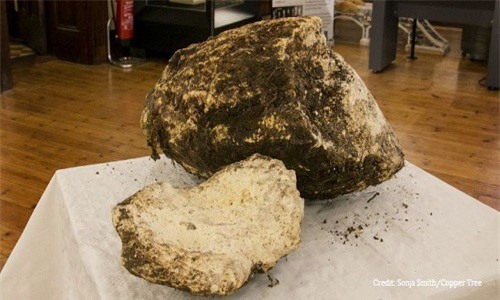 Ireland: Phát hiện tảng bơ... 2.000 tuổi