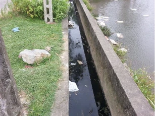 Phát hiện xác nam thanh niên có nhiều vết thương dưới mương nước