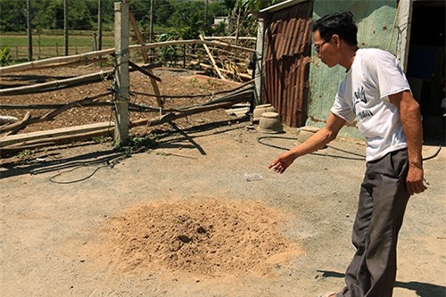 Nữ sinh lớp 12 bị sát hại bằng gần chục nhát dao ngay tại nhà