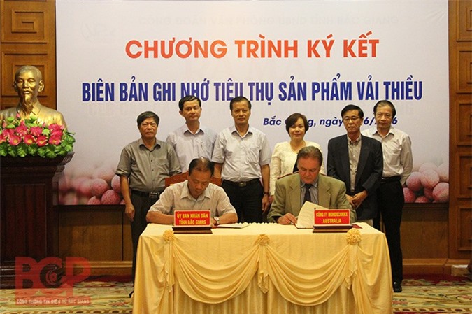 Australia và Malaysia ký kết thu mua vải thiều Bắc Giang