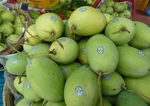 Xoài Việt và quá trình chinh phục thị trường Úc