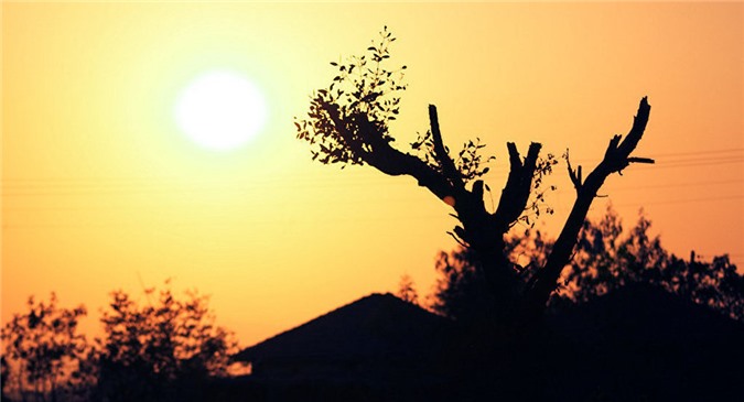 Nắng nóng bất thường ở Mỹ, ít nhất 4 người chết