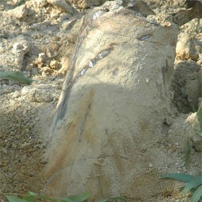 Phát hiện quả bom dài hơn 2m trong vườn