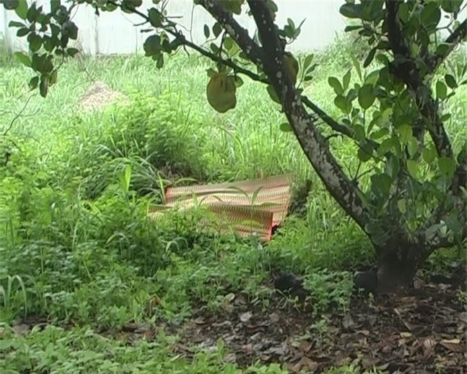 Bắt "nóng" nghi phạm đâm chết thanh niên trong vườn mít