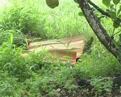 Con trai chủ nhà nghỉ bị khách thuê phòng dùng dao truy sát