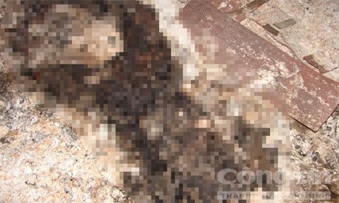 Mâu thuẫn tình cảm, chồng thiêu chết vợ rồi treo cổ tự tử nghi do