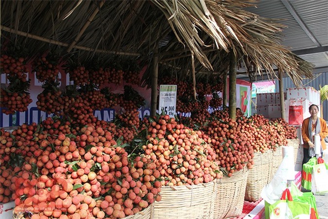 “Tuần lễ vải thiều Lục Ngạn - Bắc Giang” tại Hà Nội
