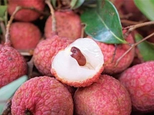 Những người nên "nói không" với vải thiều?