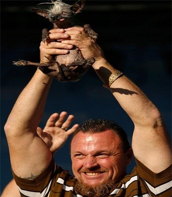 Mỹ: Cận cảnh chú chó xấu xí nhất hành tinh năm 2016