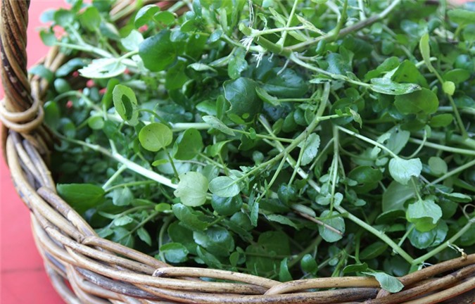 Lợi ích chữa bệnh bất ngờ của rau cải xoong mà bạn chưa biết?