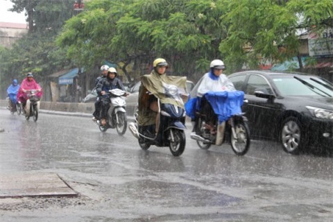 Dự báo thời tiết ngày 1/7: Bắc Bộ trời mát, có nơi mưa dông