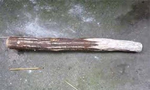 Bà mẹ dùng gậy giết con trai 15 tuổi chấn động Hà Nội