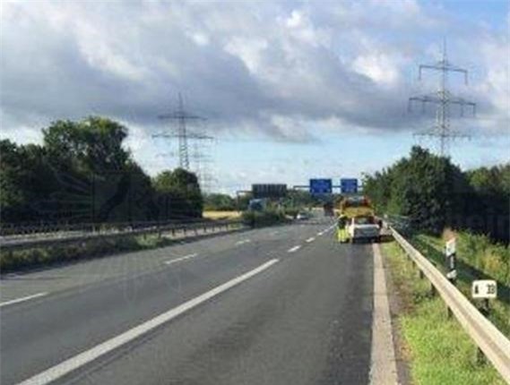 Đức: Tài xế suýt mất mạng vì đụng độ... ốc sên