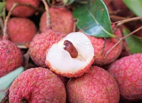 Bé trai hơn 2 tuổi suýt mất mạng vì hóc hạt vải