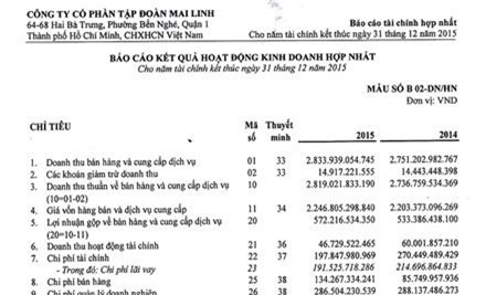 T&#x1EAD;p &#x111;o&#xE0;n Mai Linh: T&#xE1;i c&#x1EA5;u tr&#xFA;c hay r&#xFA;t v&#x1ED1;n?