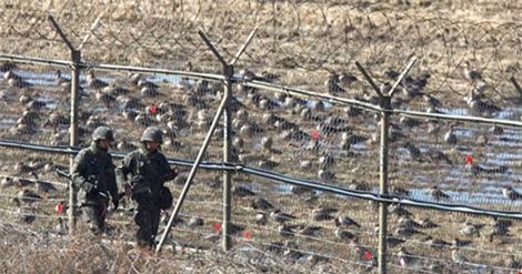 Triều Tiên chôn 4.000 quả mìn tại Khu phi quân sự DMZ
