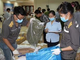 Triệt phá đường dây vận chuyển ma túy "khủng" qua bưu điện