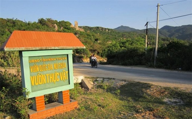 Kẻ đâm chết cán bộ vườn quốc gia Núi Chúa ra đầu thú