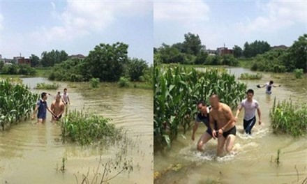 Cảnh sát truy đuổi tội phạm truy nã gây cấn như trong phim