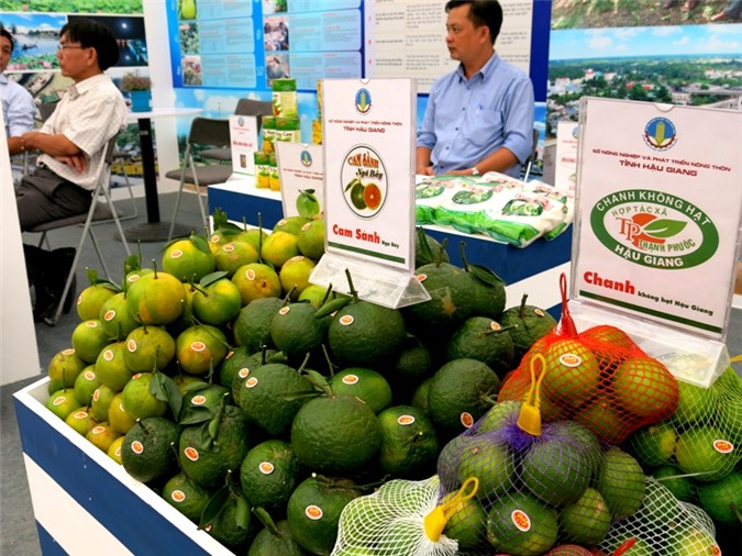 Ngành nông nghiệp phấn đấu mỗi năm tăng 10% số lượng doanh nghiệp