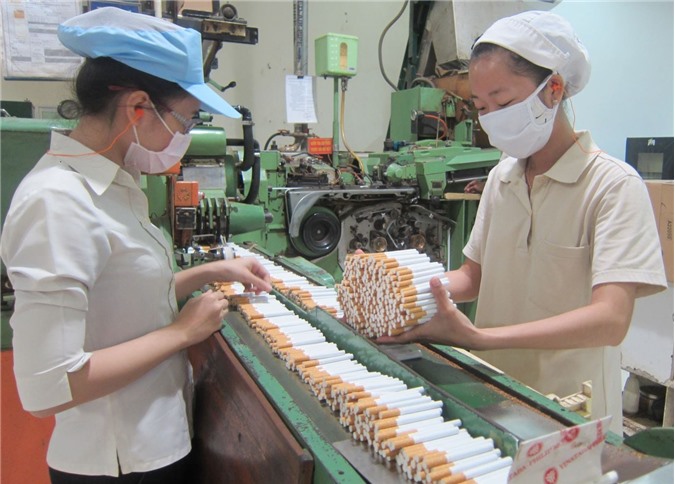 Ngành thuốc lá Việt đã tiêu thụ gần 2,6 tỷ bao trong 6 tháng