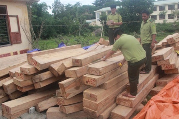 Đình chỉ công tác Chi cục trưởng Hải quan cửa khẩu Nam Giang