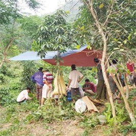 Người đàn ông uống  thuốc diệt cỏ tự tử sau khi khám bệnh