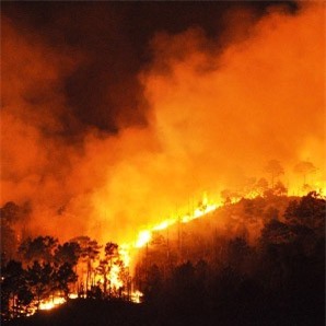 Yên Bái: Cháy lán trên nương, bé trai 9 tuổi tử vong