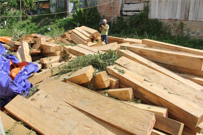 Vụ phá rừng pơ mu: Đình chỉ công tác 3 cán bộ biên phòng