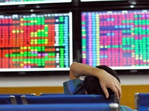 Tự ý lấy tiền công ty cho vay, Chủ tịch CMISTONE bị phạt 50 triệu đồng