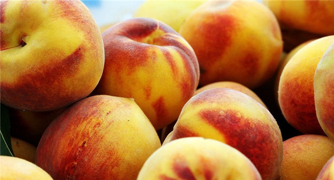 Ủy ban châu Âu tìm kiếm thị trường tiêu thụ sản phẩm nông nghiệp EU