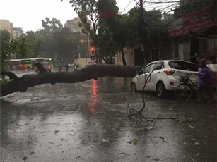 Bão càn quét Hà Nội làm 1 người chết, nhiều ôtô bị đè bẹp