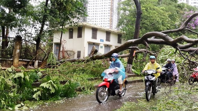 Cơn bão số 1 càn quét, nhiều tỉnh thành tan hoang 