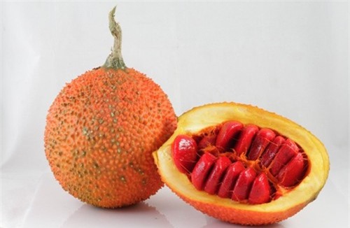 Những công dụng nổi bật ít ai biết của hạt gấc