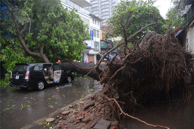Xà cừ đè bẹp ô tô, bố đạp cửa cứu con gái thoát chết