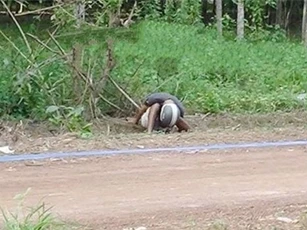 Hoảng hốt phát hiện người đàn ông gục chết bất thường bên đường