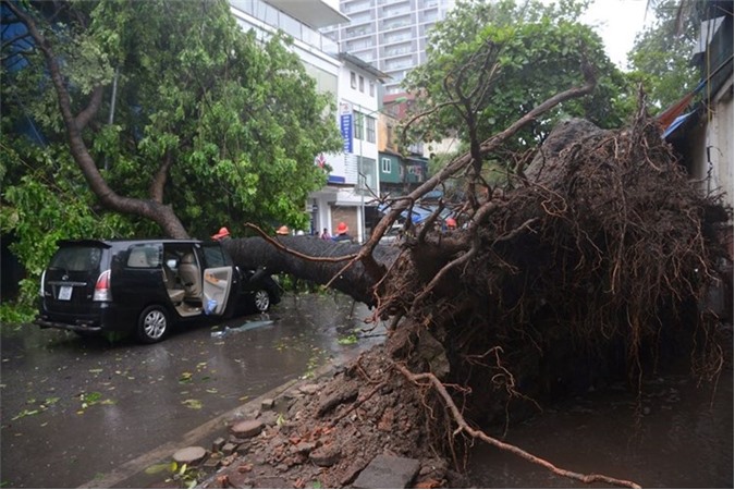 Thủ tướng ra công điện khẩn ứng phó với bão số 2