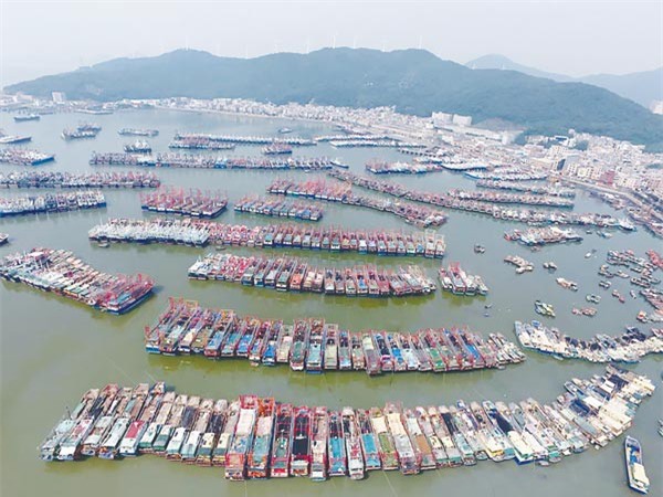 Hàng vạn tàu cá Trung Quốc xếp hàng sẵn sàng đổ ra Biển Đông