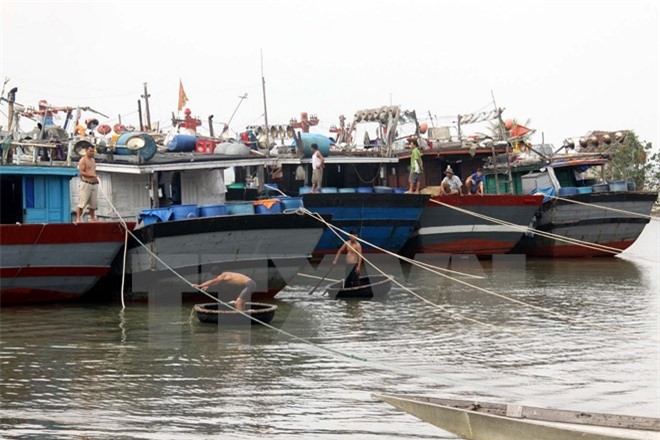 Hơn 53.000 tàu thuyền đã neo đậu tránh bão số 2