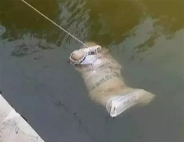 Tá hỏa phát hiện đôi nam nữ bị trói, chết lõa thể trên sông