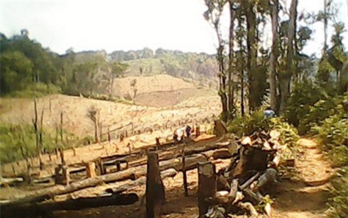 Cán bộ kiểm lâm bị nhóm đối tượng nghi lâm tặc chém chết giữa rừng