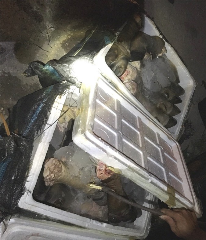 "Bắt gọn" 300 kg chân trâu thối trên đường vào Nam tiêu thụ