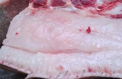 Cho trẻ ăn mỡ động vật: Có nên hay không?