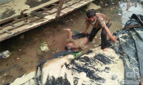 Xót xa cụ ông 74 tuổi bị xe tải chở gạo đè chết 