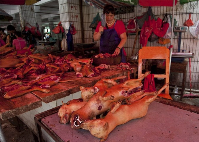 Kim Jong-Un coi thịt chó là thực phẩm "siêu cấp"