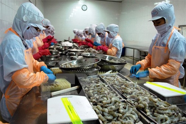 Dừng cấp chứng thư cho doanh nghiệp có lô hàng thủy sản bị EU cảnh báo