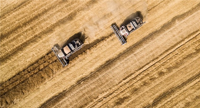 Nga: Xuất khẩu nông nghiệp vượt 25% xuất khẩu vũ khí