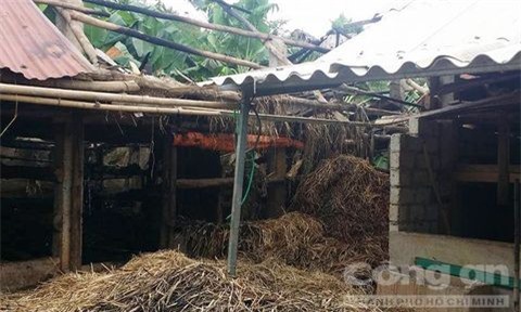 Tá hỏa phát hiện thi thể con trai trong đám cháy ở chuồng gia súc